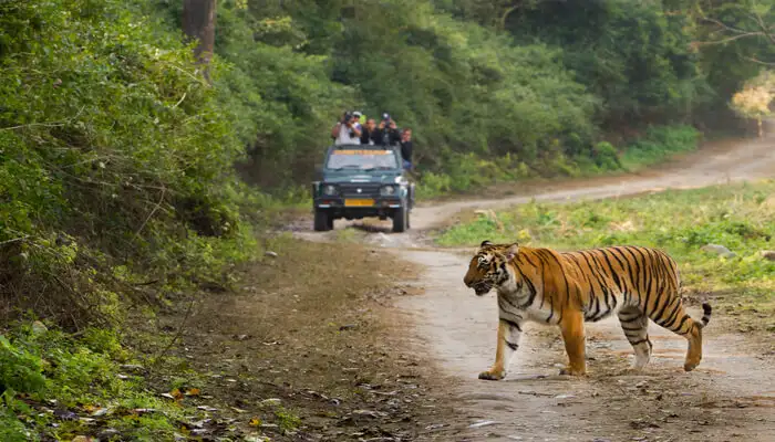 Kumbhalgarh Wildlife Sanctuary